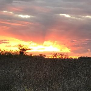 Meet your Posher, Judith